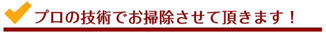 プロの技術でお掃除させて頂きます！